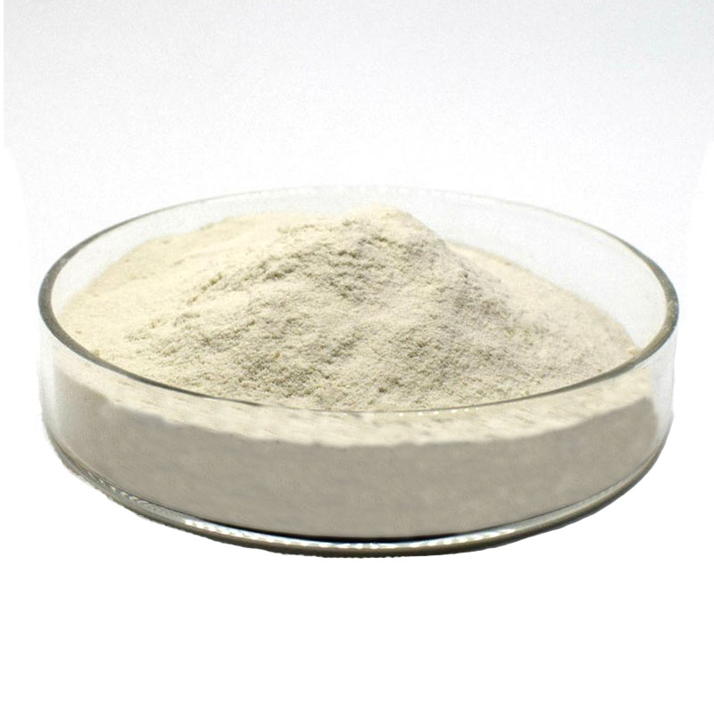 Oyster Shell Powder